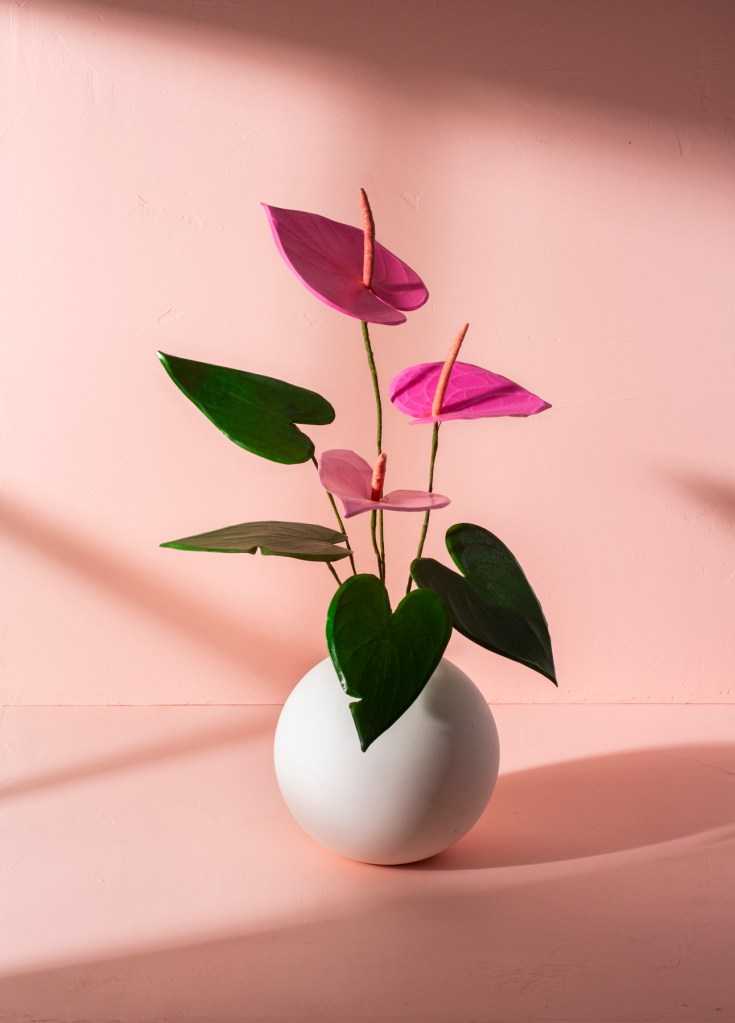 Paper Anthurium, Naomi Julia Satake