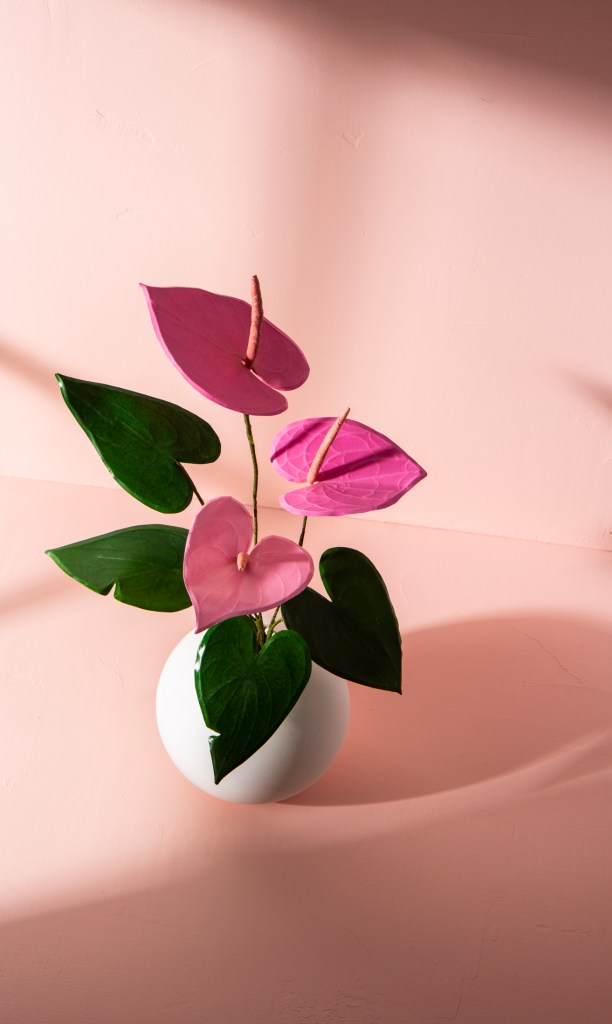 Paper Anthurium, Naomi Julia Satake