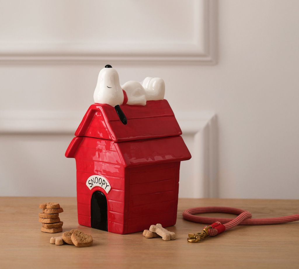 Ceramic dog treat container | Peanuts collaboration with Pottery Barn